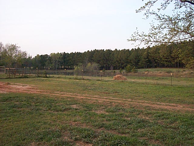 2007 Timber Ranch & Kennels