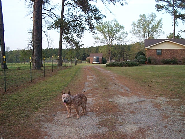 2007 Timber Ranch & Kennels