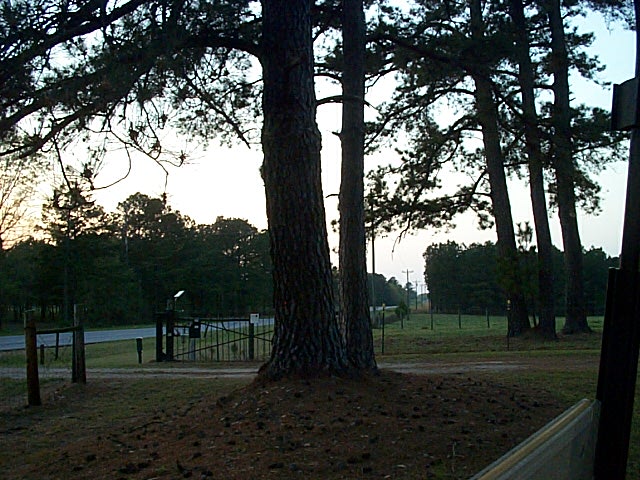 2007 Timber Ranch & Kennels