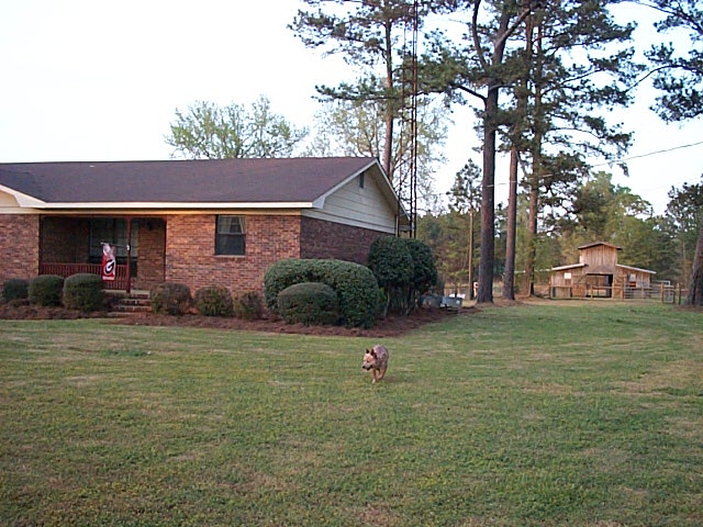 2007 Timber Ranch & Kennels