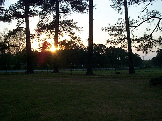 2007 Timber Ranch & Kennels