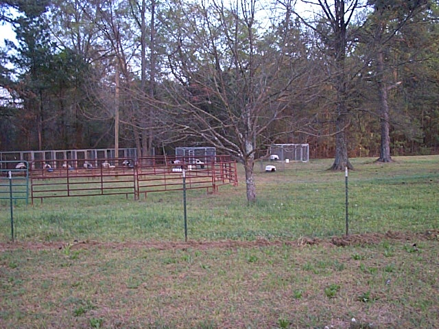 2007 Timber Ranch & Kennels