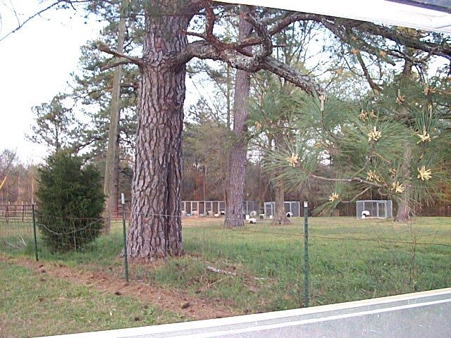 2007 Timber Ranch & Kennels