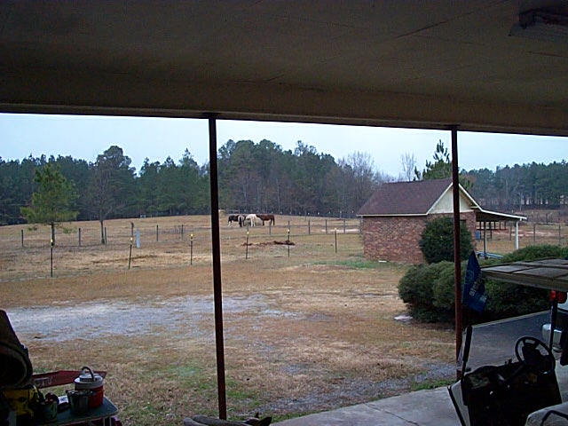 2008 Timber Ranch & Kennels