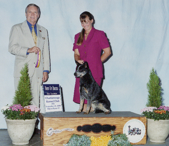 Ashe & Laura 2006 AKC Championship
