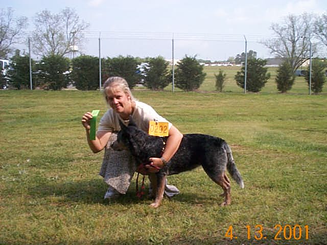 Brianna earning her CDX