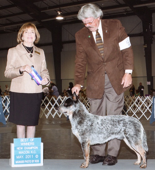 Clooney 23 months old
