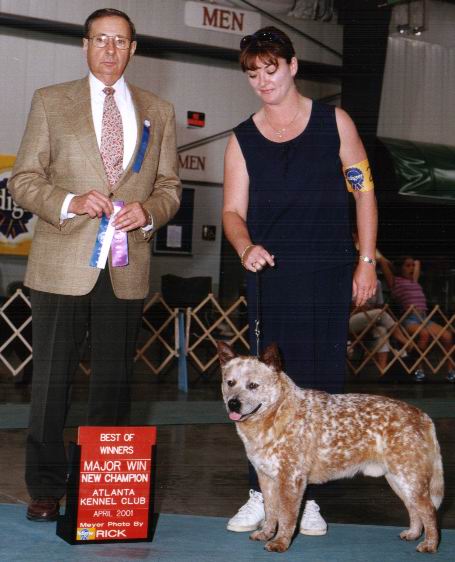Best of Winners at Atlanta Kennel Club