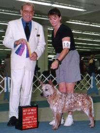 Best of Breed at Newnan Kennel Club