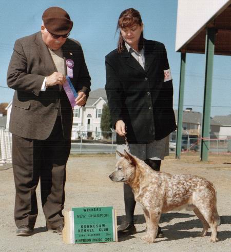 Winners at Kennesaw Kennel Club