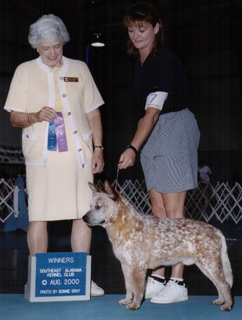 Winners at Southeast Alabama Kennel Club