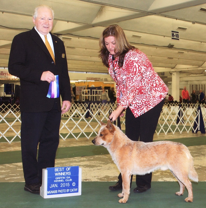 George BOW Battaglia