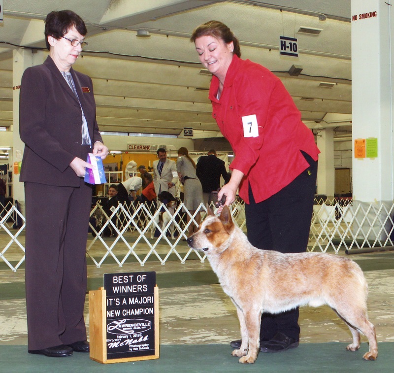 George Championship Buxton