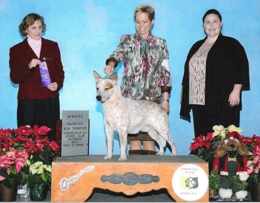 Legend- Matilda littermate