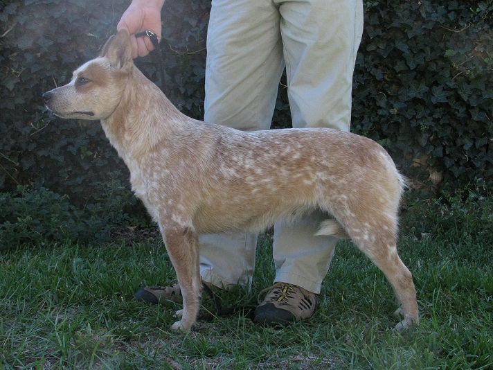 Madonna October 2010