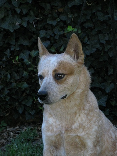 Madonna October 2010