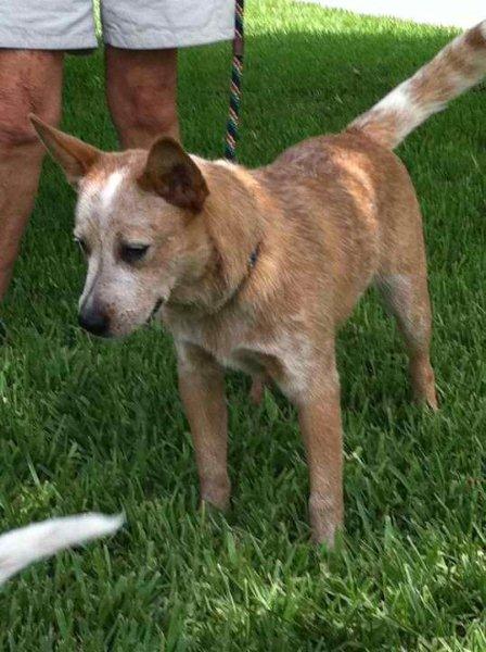 Nana 6 months of age