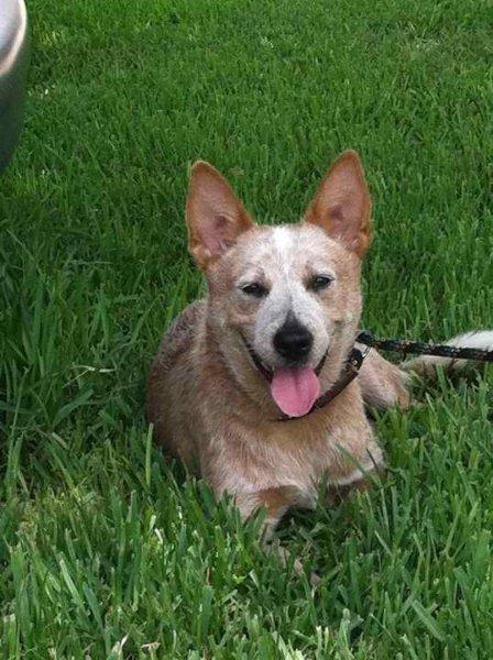 Nana 6 months of age