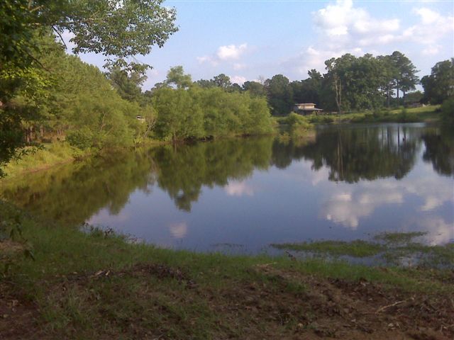 2008 Timber Ranch & Kennels