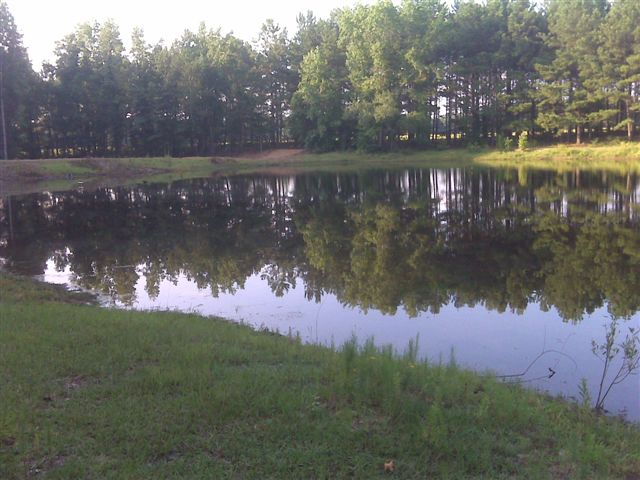 2008 Timber Ranch & Kennels