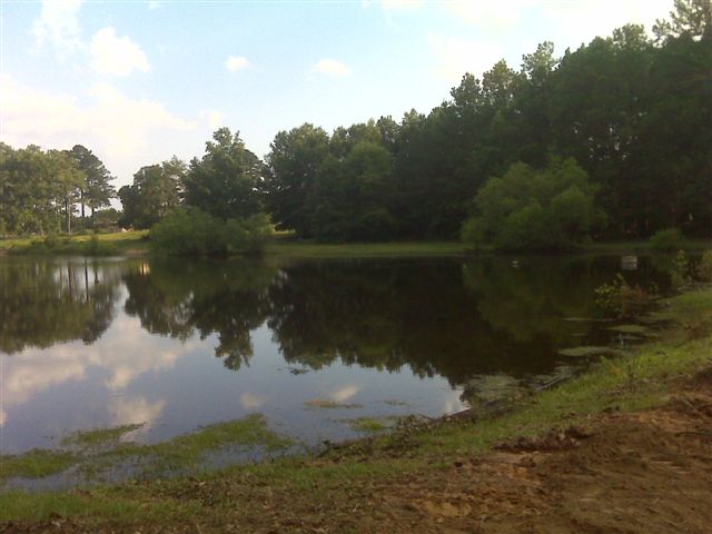 2008 Timber Ranch & Kennels