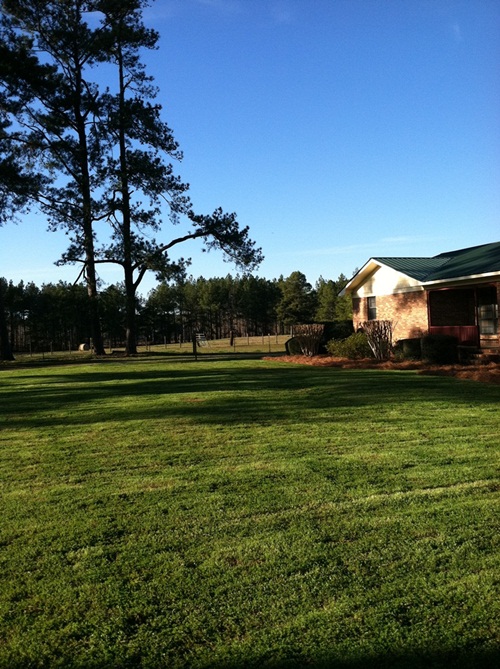 2008 Timber Ranch & Kennels