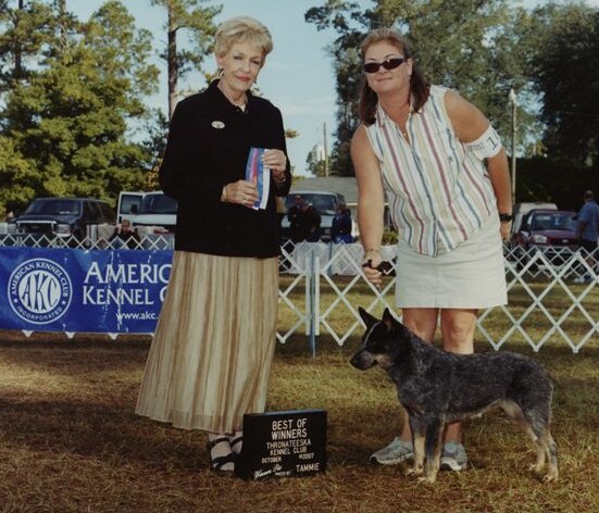 Serra Best of Winners Thronateeska Kennel Club 10-21-07
