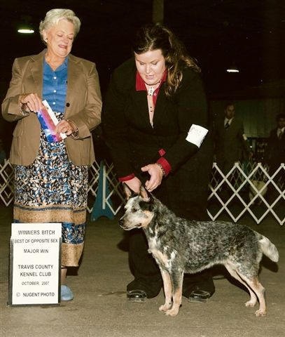 Georgia Best of Opposite/Winners Bitch Travis County Kennel Club, October 2007