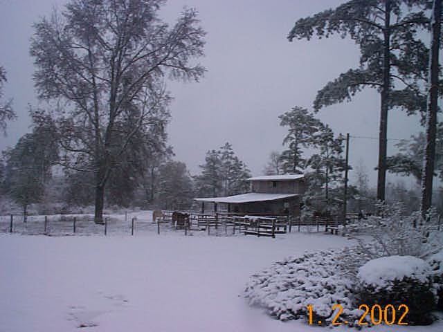 Snow -New Year's 2002