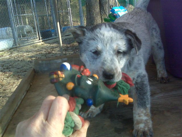 Matilda 3 months old