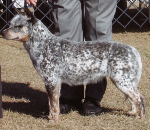 Matilda 13 months of age